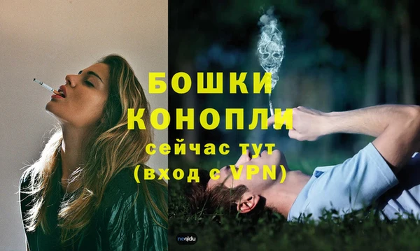 мдпв Семёнов