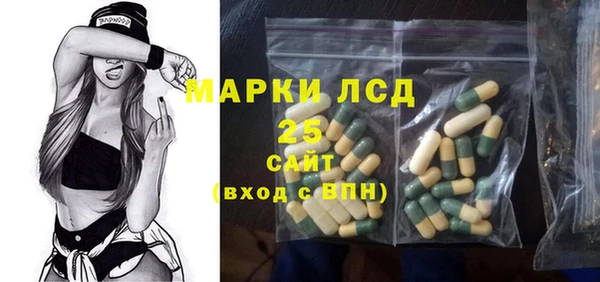 индика Армянск